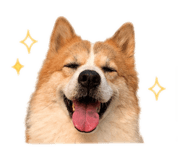 842927017