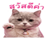 842927489