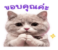842927492