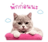 842927504