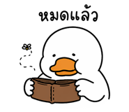 842927538