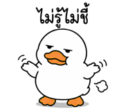 842927555