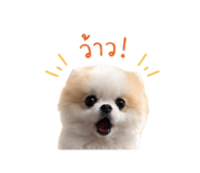 842927566