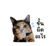 842928049