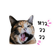 842928050