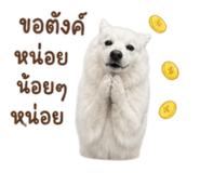842928414