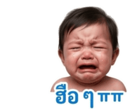 842928455