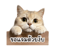 842928539
