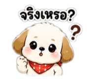 842930436