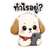 842930452