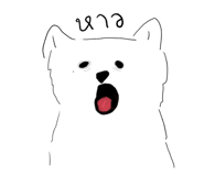 842930577