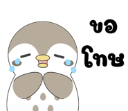 842931336