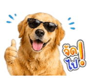 842932555