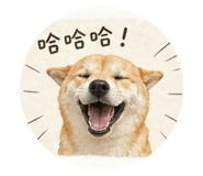 842933524