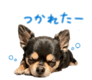 842933538