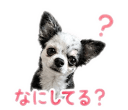 842933540