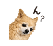 842933866