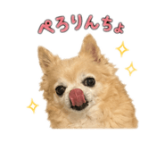 842933869