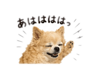 842933874