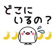 842934348