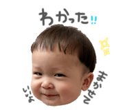 842934379