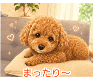 842934450