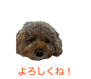 842934464