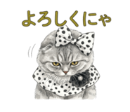 842934467
