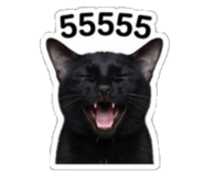 842936267