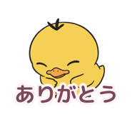 842936545