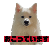 842936656