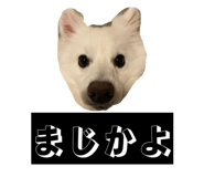 842936657