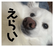 842936660
