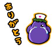 842936797