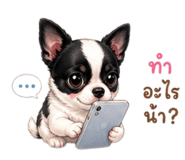 842936998