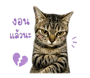 842937336