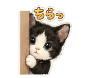 842937472