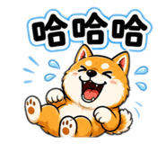 842937635