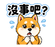842937637