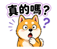 842937638