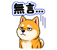 842937650