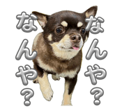 842938721