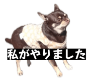 842938726
