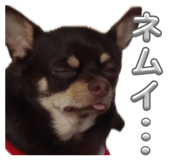 842938728