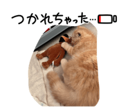 842938732