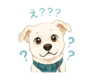 842938806