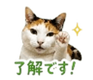 842938942