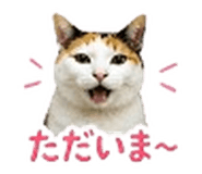 842938944