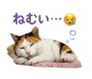 842938952