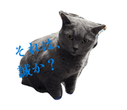 842939354